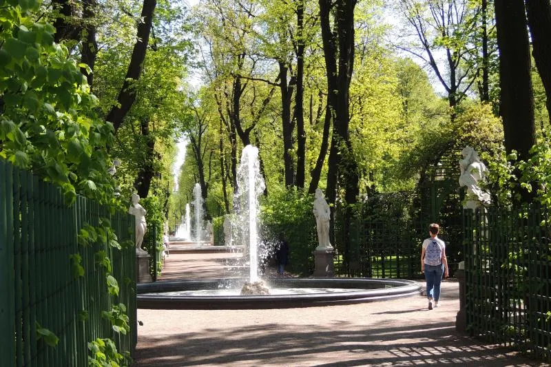 Личное знакомство с деревьями-патриархами Летнего сада и их окружением. Экскурсия по Летнему саду